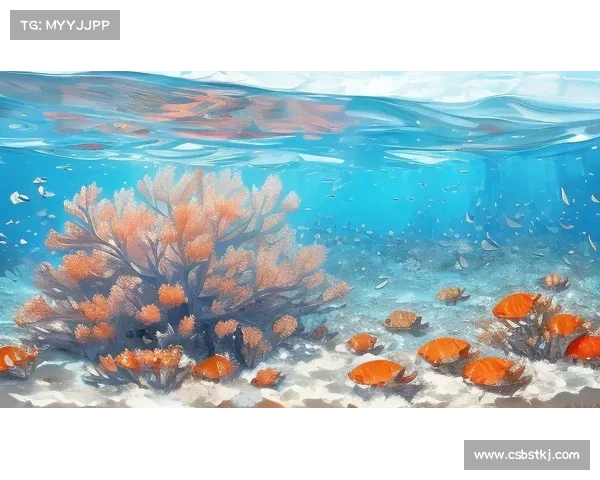 生命的绚烂启示：探索无尽的五彩斑斓