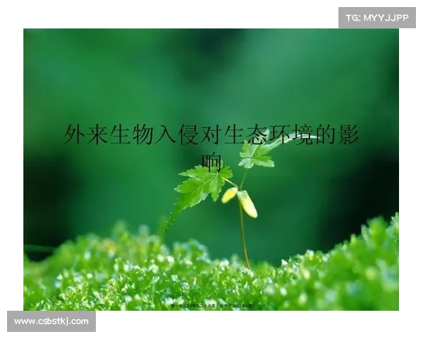 卷帘绿魔的生态价值与生物入侵影响探析