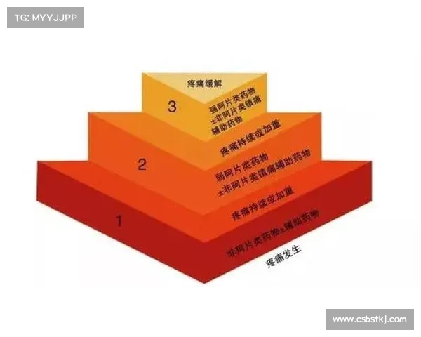如何在火焰之地进行安全探险并有效应对极端环境的全面指南