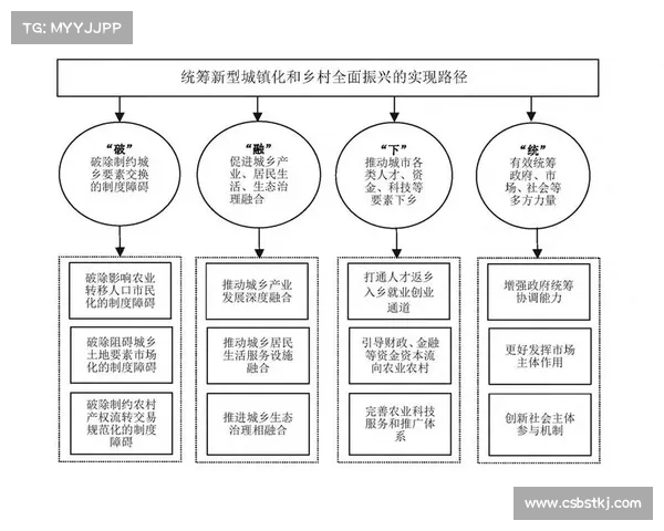 阴阳符文的深度剖析与实践应用探索：从基础理论到高级技巧的全面指南