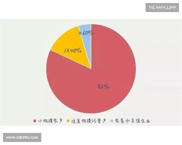 中国足球迈向亚洲一流水平的战略路径与系统提升实施步骤研究