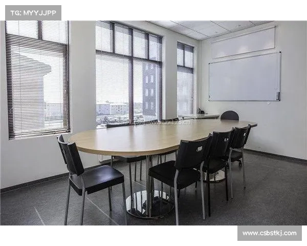 如何在会议中恰当表达质疑与建设性建议提升沟通效果